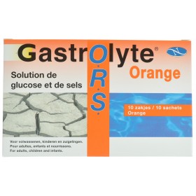 Gastrolyte Ors Orange poudre Sach 10