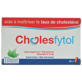 Cholesfytol Comprimés  28