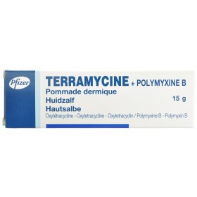 Terramycine Onguent Dermique 14.2G