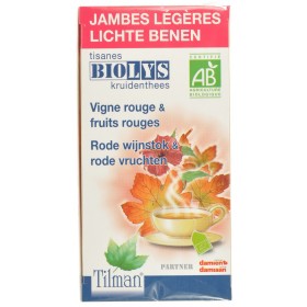 Biolys Vigne Rouge+fruits Rouges Tea-bags 20