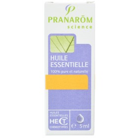 Marjolaine a Coquilles Huile Essentielle 5ml